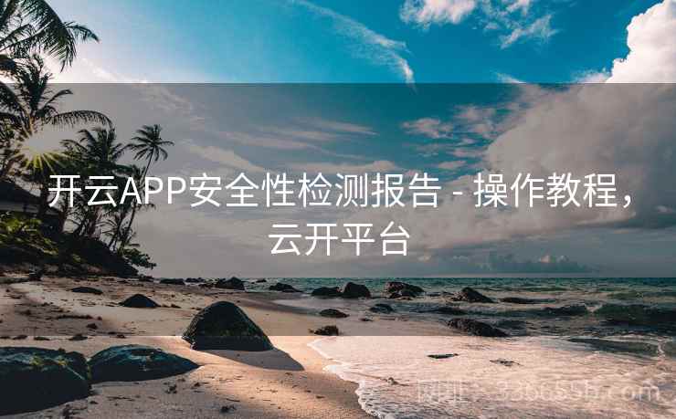 开云APP安全性检测报告 - 操作教程，云开平台